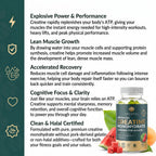 Creatine Sour Watermelon Gummies - 75 Count